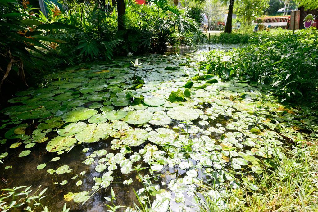 Fairy Story Village Farm B&B Dongshan  Exterior foto